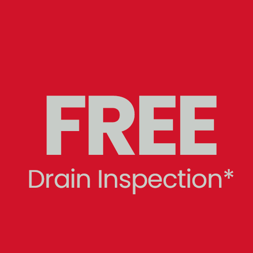 Save $195 on a Drain Inspection