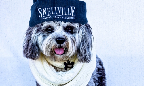 Snellville Heating, Air and Plumbing Mascot